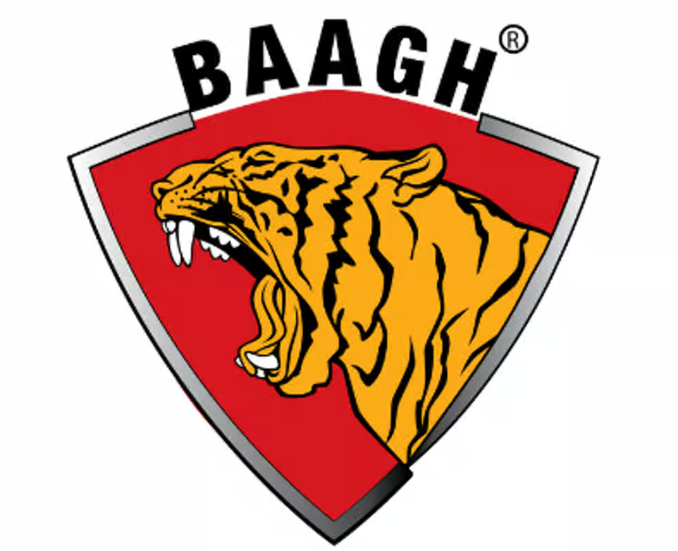 Baagh Eco Motors Ltd